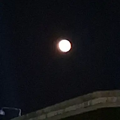 Profile image of 토트