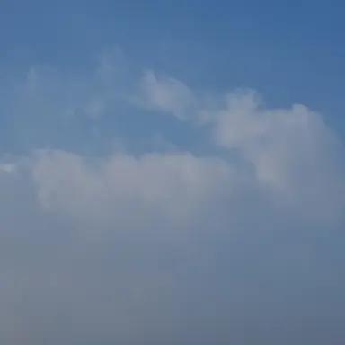 Profile image of 하토르