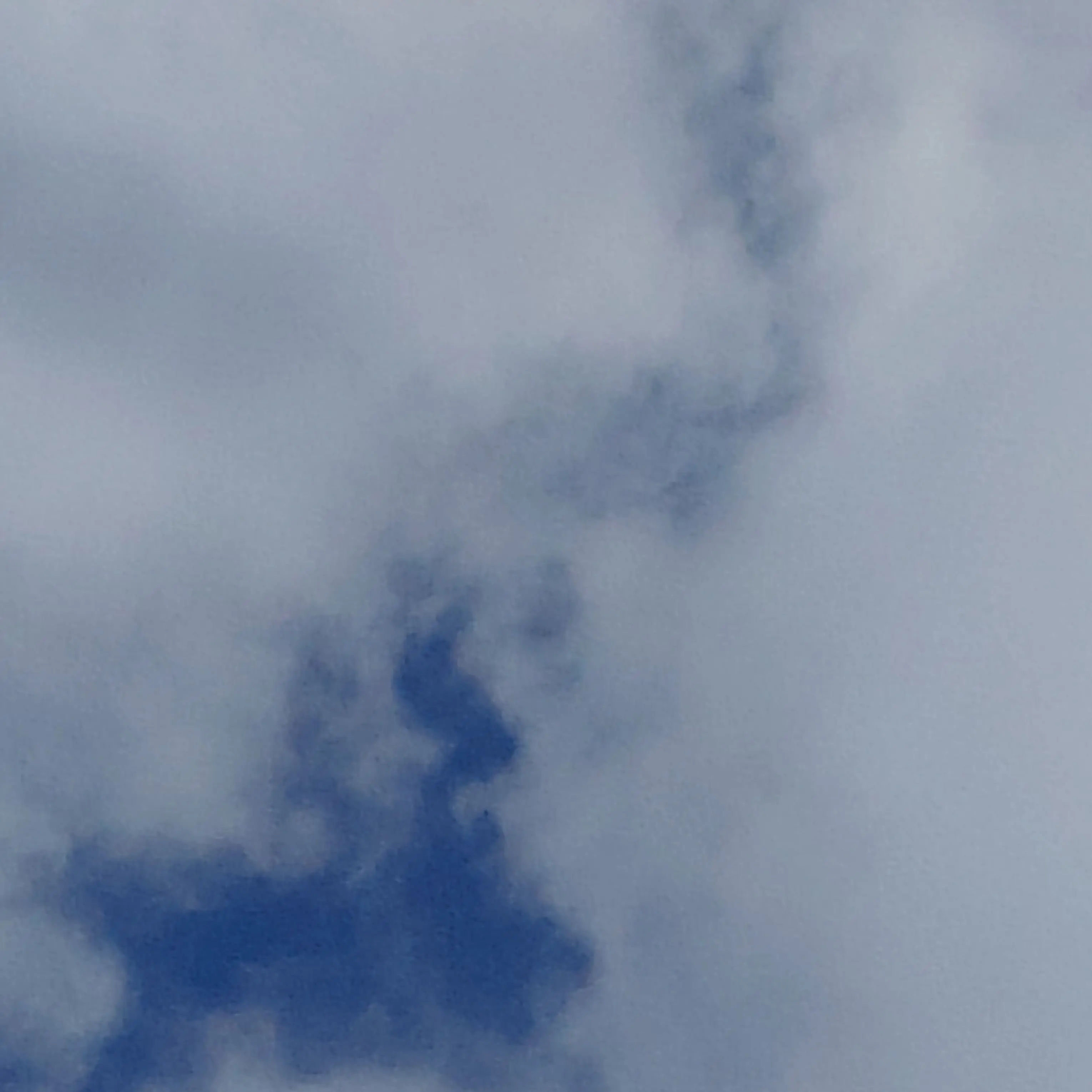 SolemnFrond9256의 고백