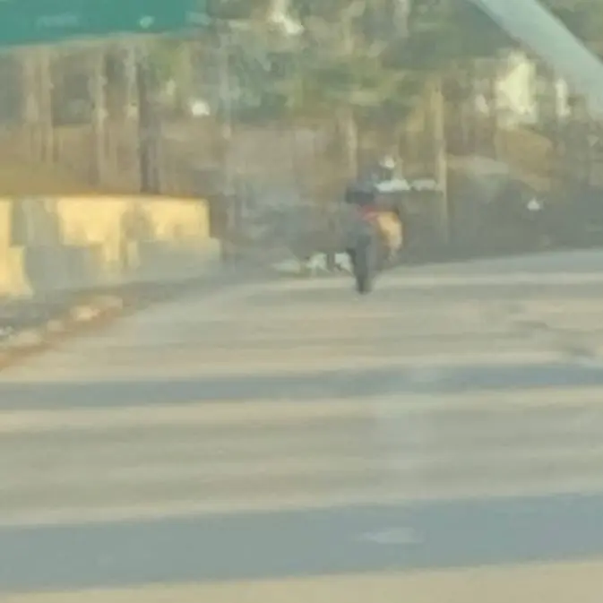 StoutLily0546의 Office Hours Confession