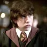 Profile image of Neville Longbottom