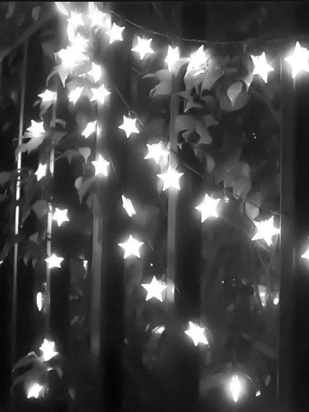 D_R.s의 🖤블랙즈🖤