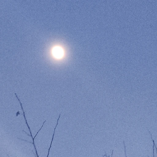 김도윤