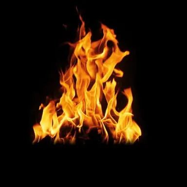 Profile image of Sol