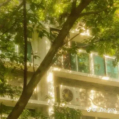 Profile image of 니노 선데이