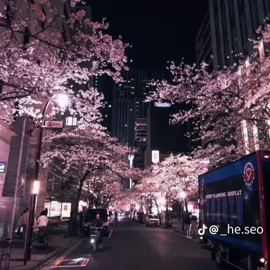 Profile image of 오토 레이니