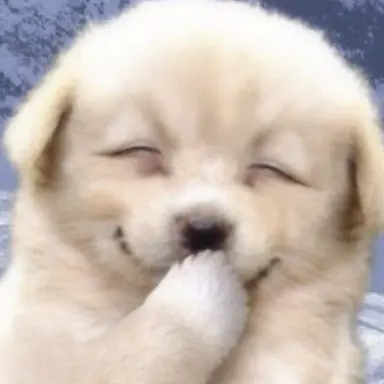 Profile image of 동영배