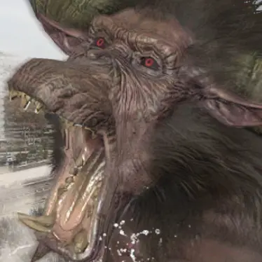 Profile image of 라잔