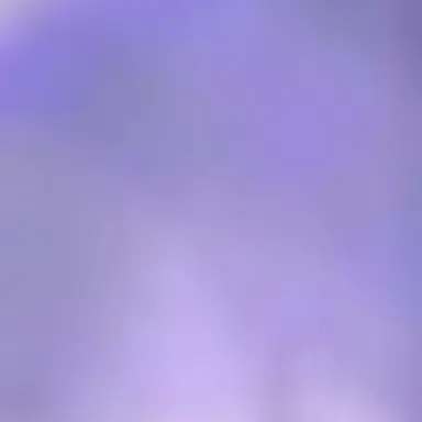 Profile image of クールキッド