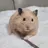 이랑