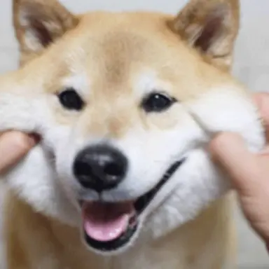 Profile image of ダヨン