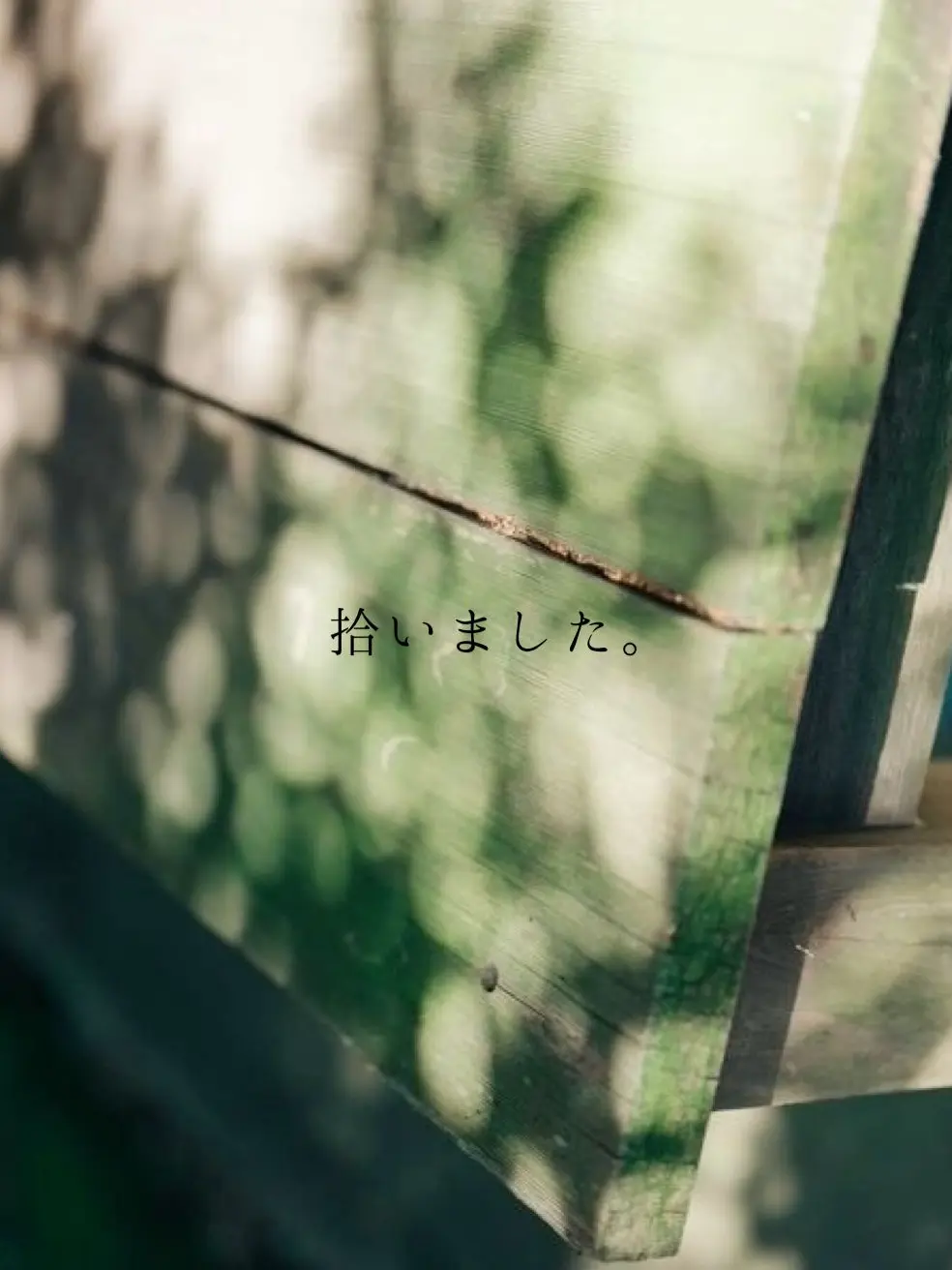 momonon의 拾いました。