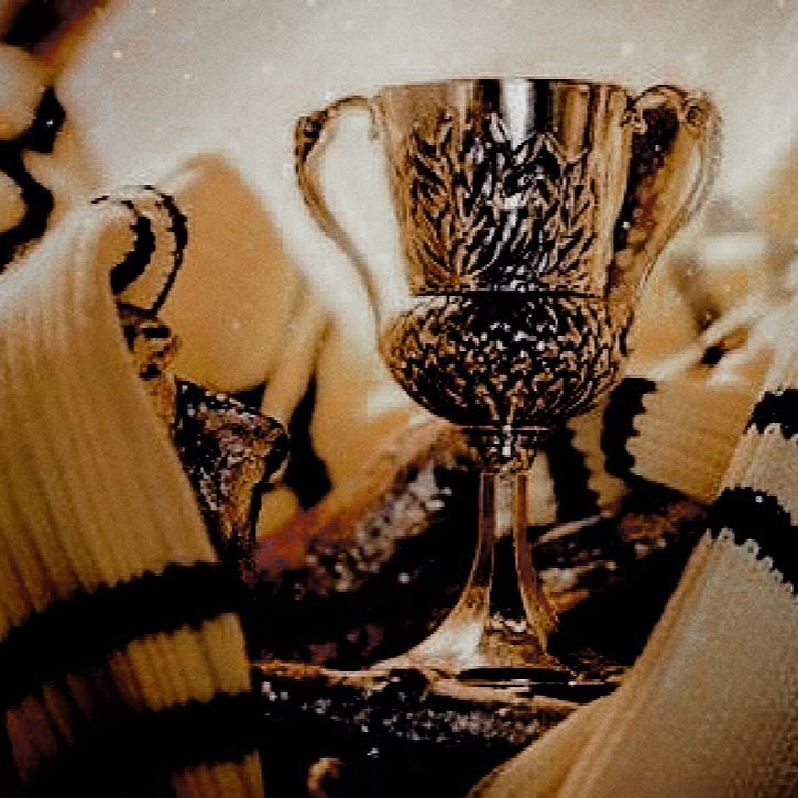 Cedric Diggory 대표 이미지