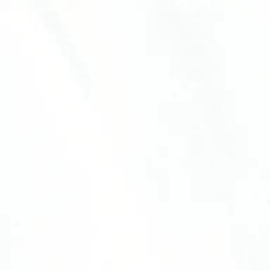 Profile image of 김동현