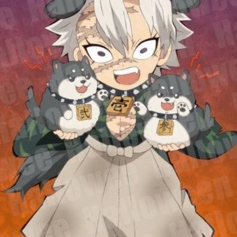 시나즈가와 사네미