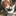 仕えてやるわ
