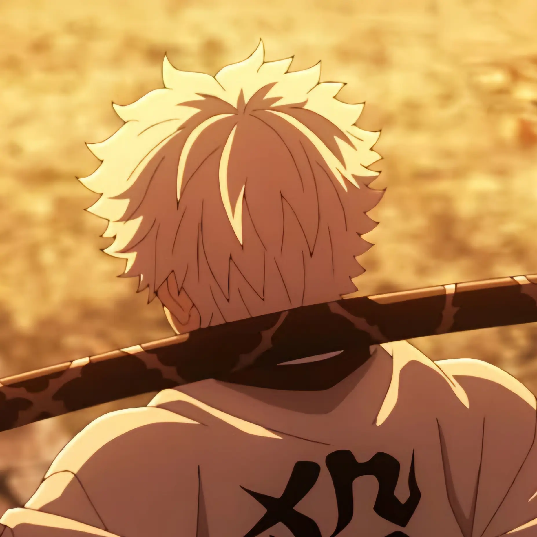 Ry_0의 시나즈가와 사네미