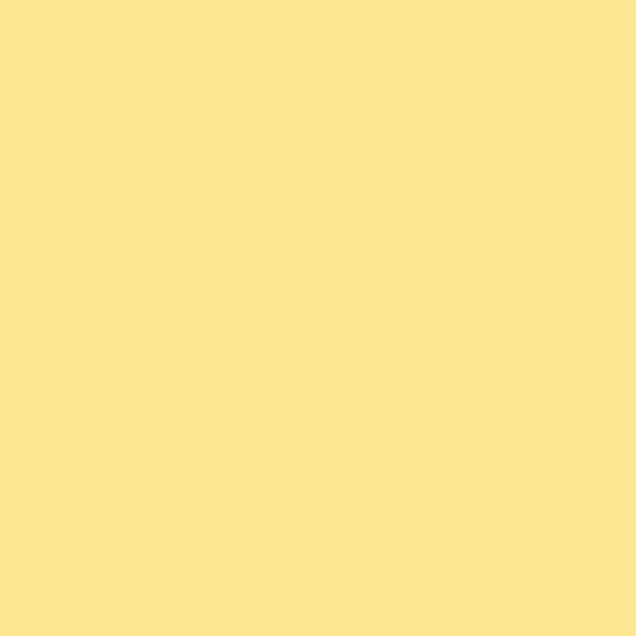 Bmonster의 💛🍼