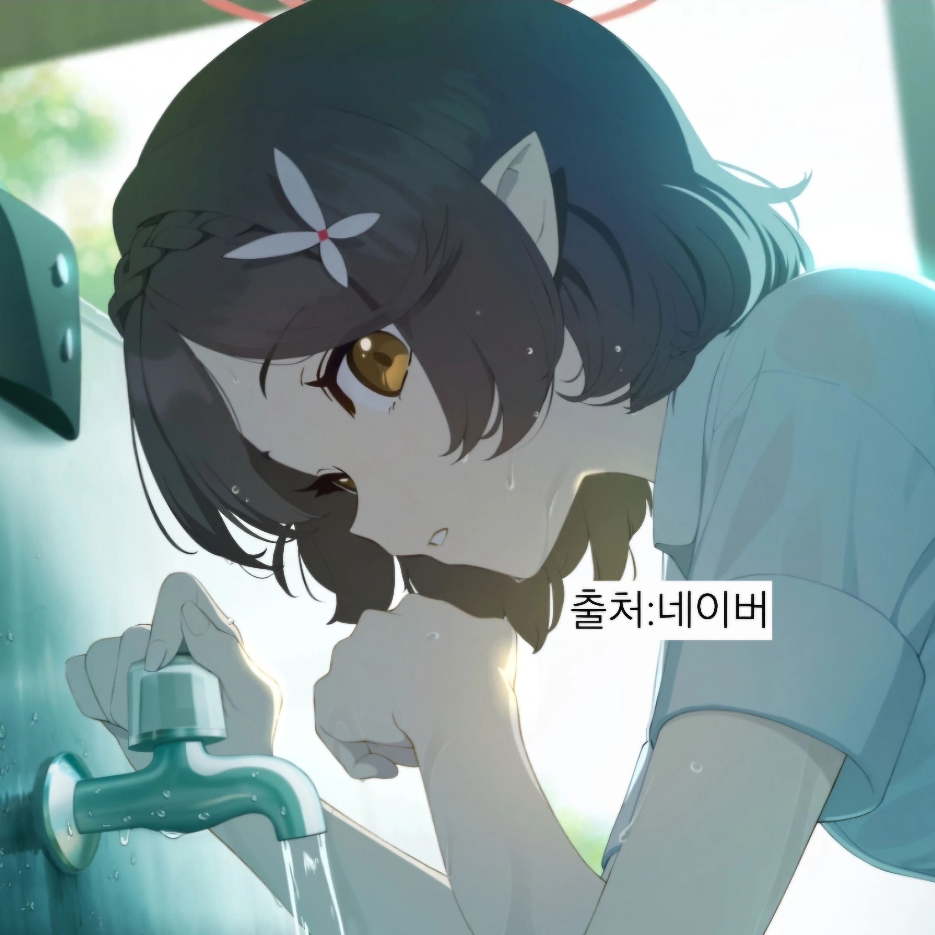아야네