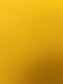 ohayou_SEKAI의 死ぬまでにあなたがやりたいこと