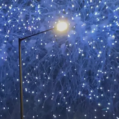 Profile image of 택시기사