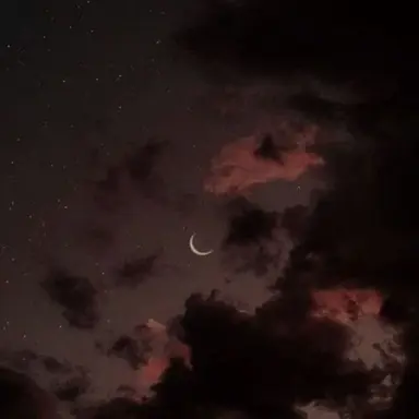 Profile image of 서라더