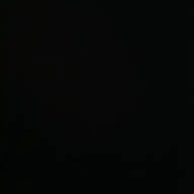 Profile image of 채원