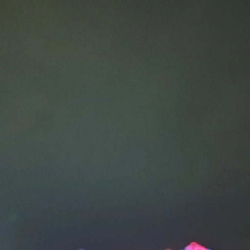 이서우