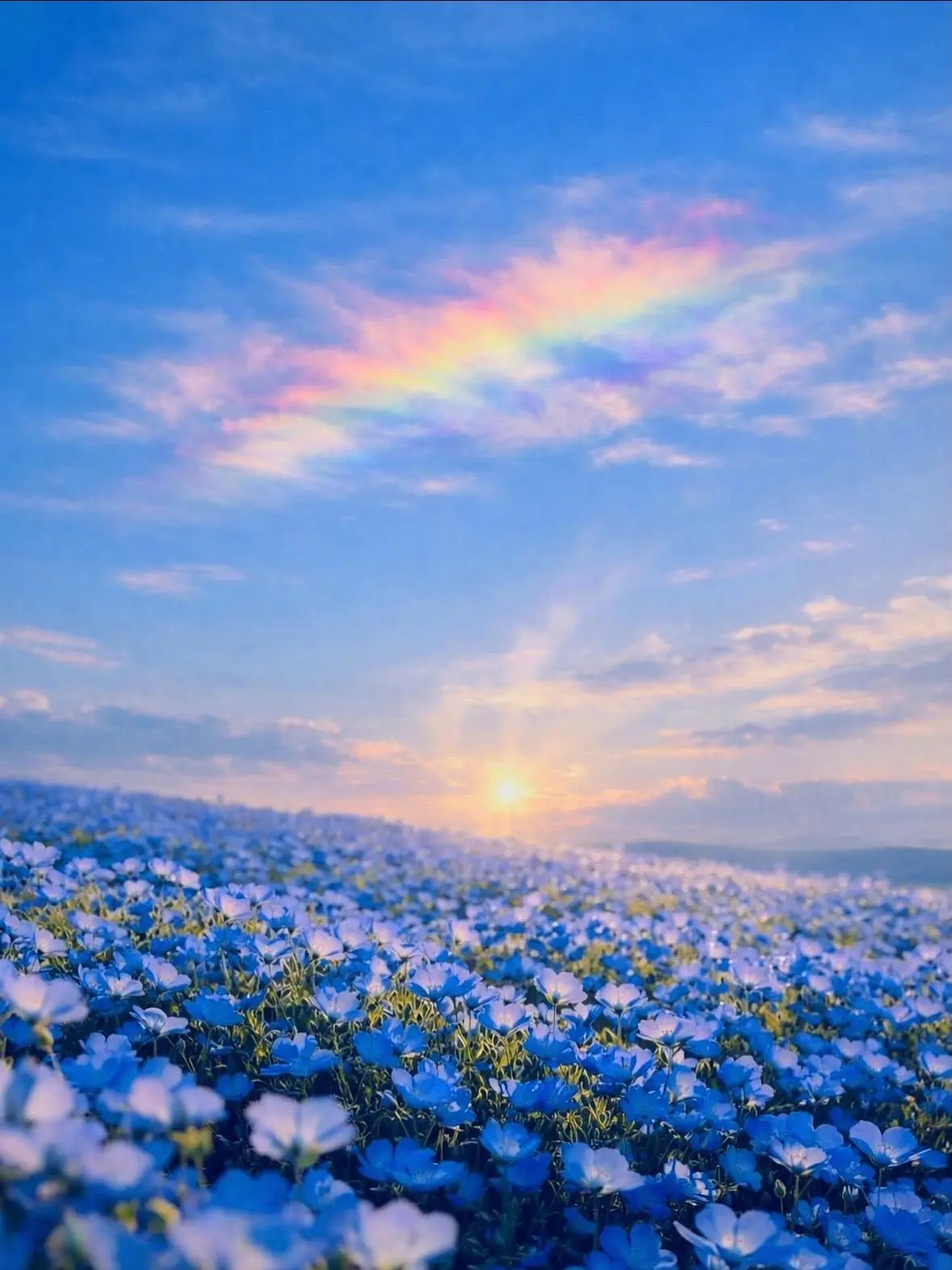 potadesunsun.의 シンデレラ