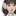 하지민