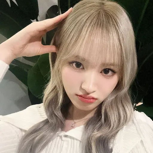 LushApple4434의 리즈