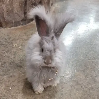 Profile image of 유저