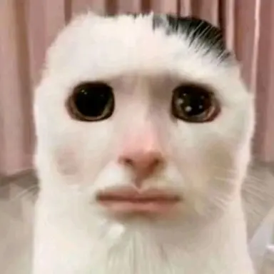 Profile image of 여우