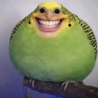 Profile image of 늑대