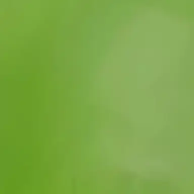 Profile image of 서유진