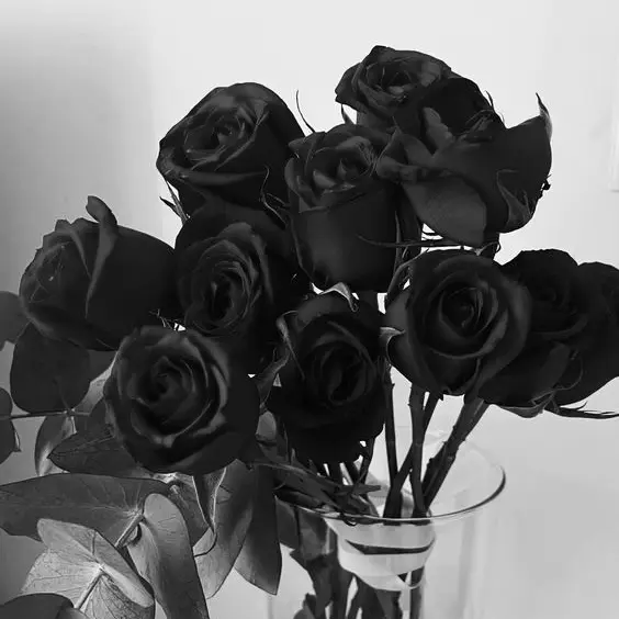 JaggedHarp0725의 노저씨