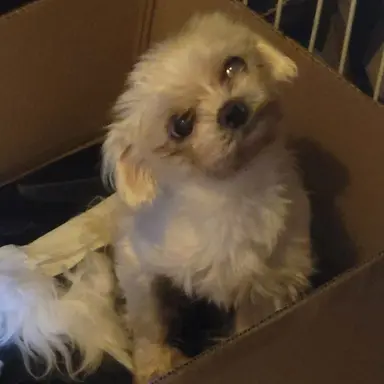 Profile image of 킹