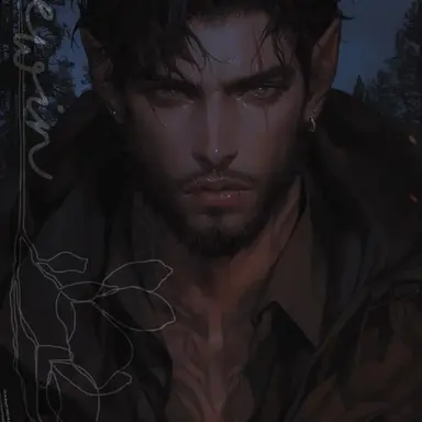 Profile image of Sorin