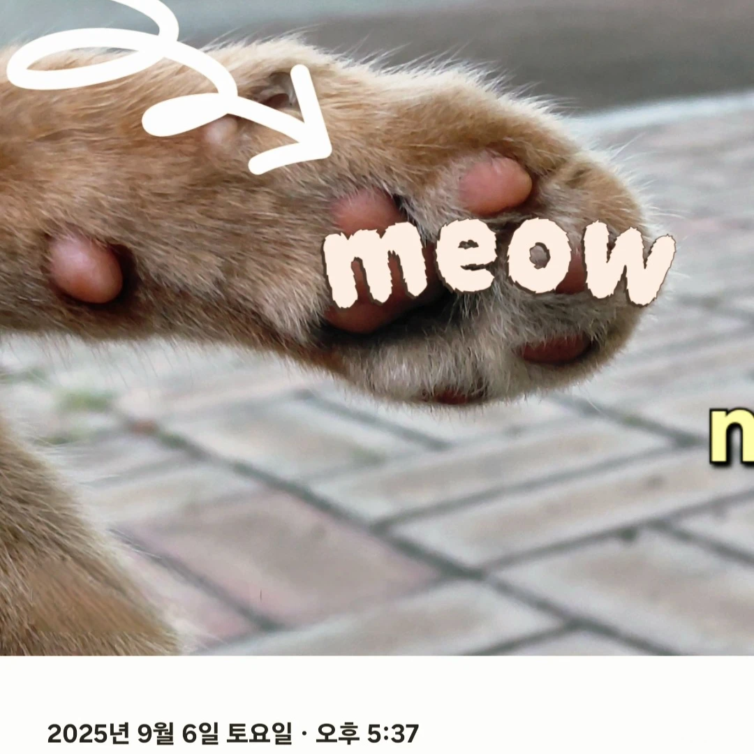 4명의 비서들