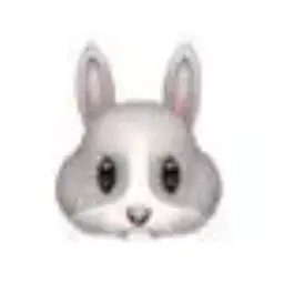 Profile image of Seito Ajiro