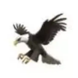 Profile image of Ran Furuie