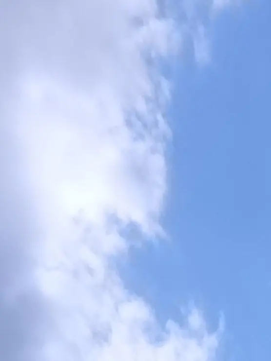 Rai___0307_의 学校のリクエストです✨️