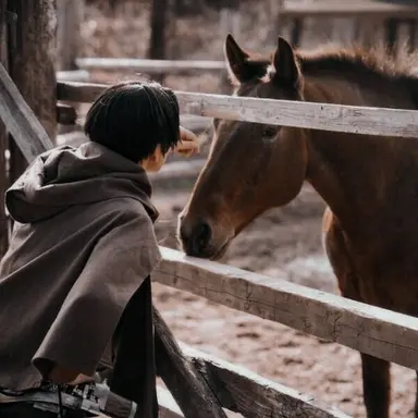 Profile image of Levi Ackerman