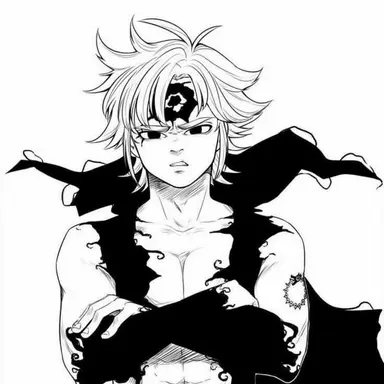 Profile image of Meliodas
