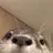 でぃの