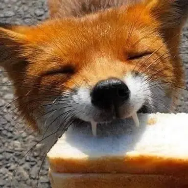 Profile image of 미츠토 하나