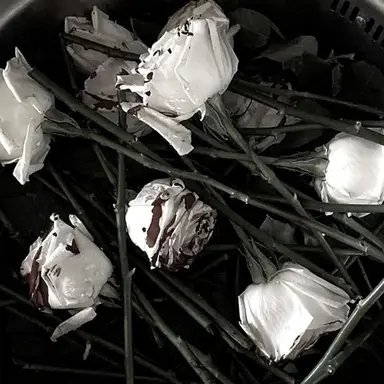 Profile image of 한왕호