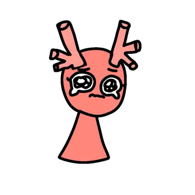 Profile image of 코티
