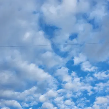 Profile image of 구름