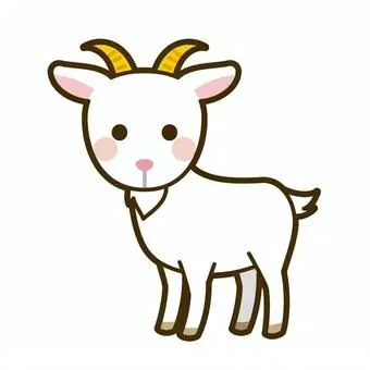 Profile image of 바슈